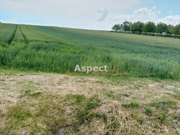 działka na sprzedaż 5008m2 działka Grodzisko Górne