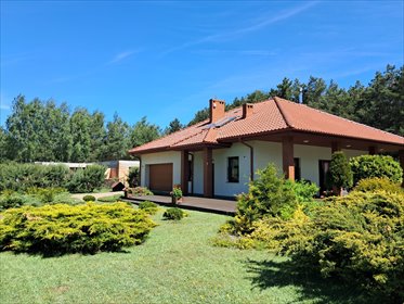 Przestronny dom z garażem, kominkiem i dużą działką dom Ceków-Kolonia, Nowe Prażuchy