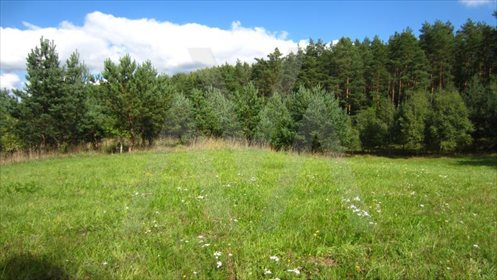 Działka siedliskowa na sprzedaż Pawłowo, Xxx 28 911m2 Foto 4