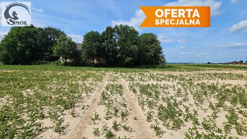 działka na sprzedaż 29300m2 działka Celiny