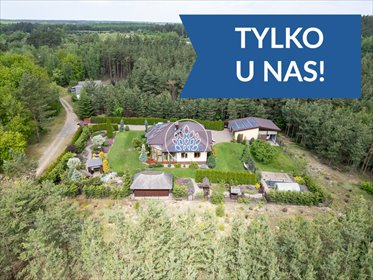 Dom 140m2 z prywatnym lasem 2,3ha w Bzówcu koło Mogilna dom Bydgoszcz