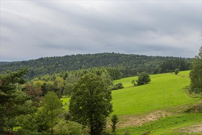 działka na sprzedaż 3000m2 działka Kiełczawa