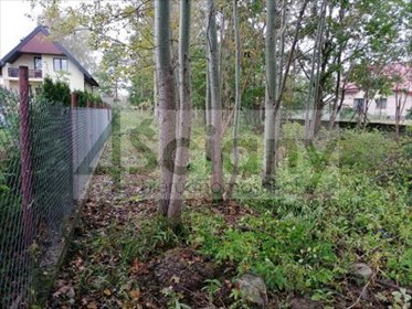 Polecam działkę 1347 m² w Chotomowie z mediami i możliwością zabudowy działka Chotomów