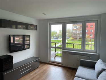 mieszkanie na wynajem 50m2 mieszkanie Dąbrowa Górnicza, Gołonóg