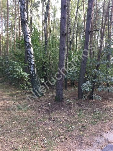 działka na sprzedaż 3180m2 działka Adamów-Parcel