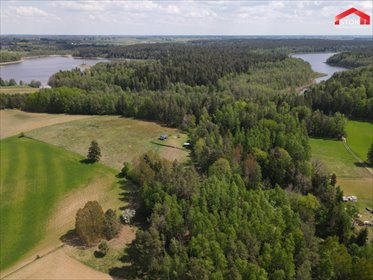 Działka nad Rospudą w Nieszkach – unikatowa przyroda działka Nieszki