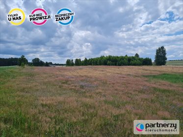 Działka siedliskowa na sprzedaż Górki 9 000m2 Foto 7
