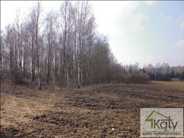 Działka rolna na sprzedaż Czarny Kierz, Czarny Kierz, Czarny Kierz 16 500m2 Foto 4