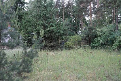 Działka budowlana na sprzedaż Biały Bór 504m2 Foto 5