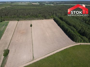 Działka 3000 m² z warunkami zabudowy, media, las działka Poczopek