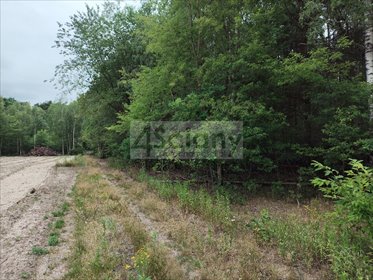 Działka 1706 m² w lesistej okolicy z planem zabudowy działka Wólka