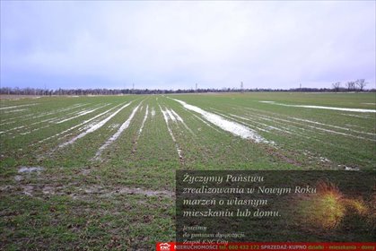 działka na sprzedaż 1087m2 działka Wierciszów