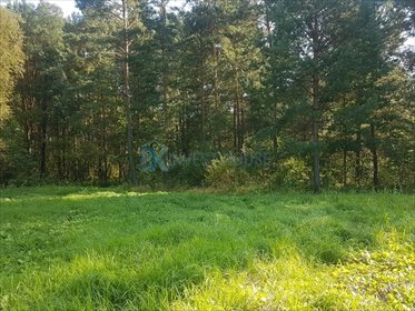 Działka 1692 m² pod dom w otulinie lasu, media, Dąbrówka działka Ludwinów