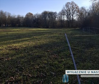 Sprzedam działkę rolną 5433 m² z potencjałem inwestycyjnym działka Tomaszówka