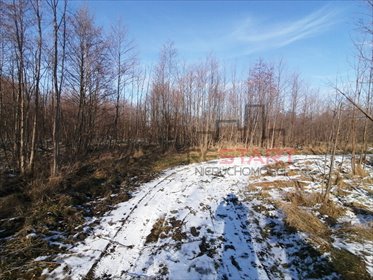 działka na sprzedaż 1200m2 działka Stare Budy Radziejowskie