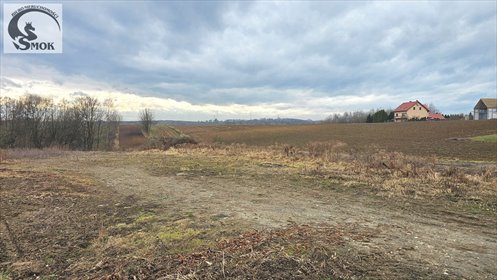 działka na sprzedaż 5000m2 działka Książniczki