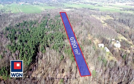 Sprzedam las 6 700 m² w Kamienicy Polskiej z wiekowymi dębami działka Kamienica Polska, Kamienica Polska