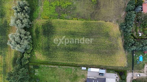 działka na sprzedaż 4099m2 działka Toporzysko