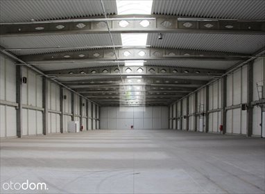 lokal użytkowy na wynajem 1200m2 lokal użytkowy Hala.Magazyn 1200 m2, GDAŃSK, gdynia, - bezposred