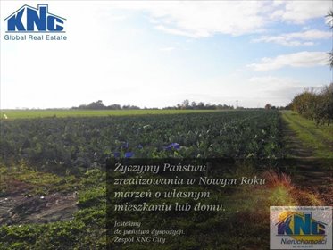 działka na sprzedaż 4047m2 działka Świdnik