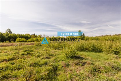 działka na sprzedaż 3937m2 działka Mściszewice