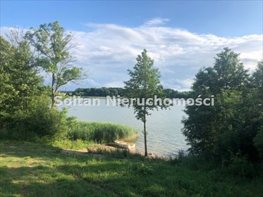 działka na sprzedaż 9999m2 działka Dłużec