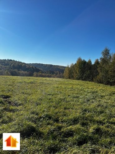 Urokliwa działka 6447 m² z lasem i dojazdem asfaltowym działka Dynów (gw)