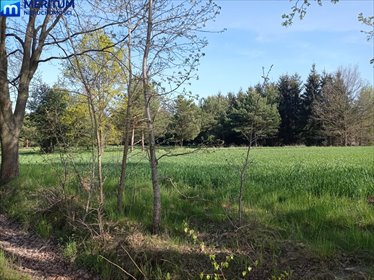 Działka 1600 m2 pod zabudowę w Ojrzanowie, blisko Warszawy działka Ojrzanów