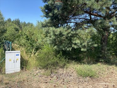 działka na sprzedaż 1002m2 działka Natalin