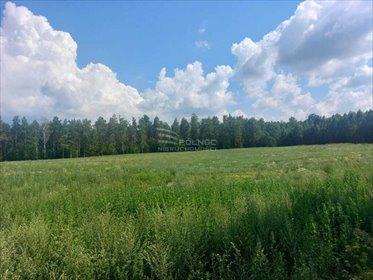 działka na sprzedaż 1250m2 działka Wielimowo