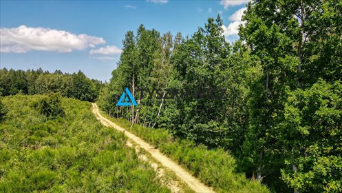 działka na sprzedaż 6327m2 działka Salino