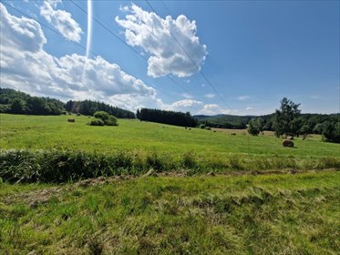 działka na sprzedaż 9719m2 działka Marciszów, Polna