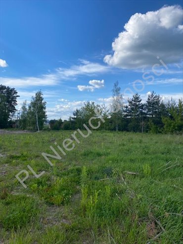 działka na sprzedaż 3158m2 działka Zaręby