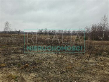 Działka leśna 7 000 m² przy trasie Lubelskiej i S2 działka Majdan