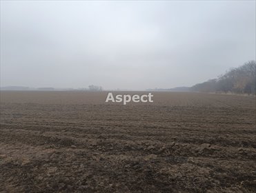 działka na sprzedaż 510000m2 działka Kalników, Kalników