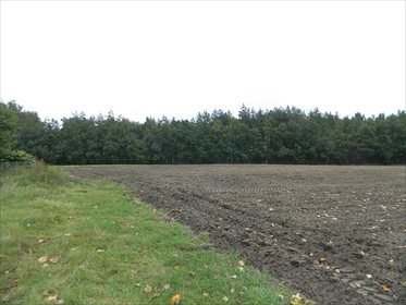 Dom na sprzedaż Wólka Ołudzka 65m2 Foto 5