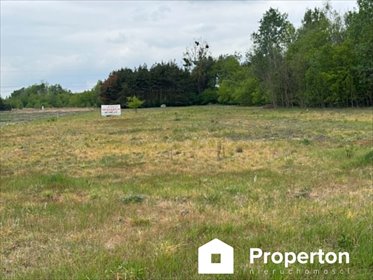 Działka 1661 m² z warunkami zabudowy w Maciejowicach działka Maciejowice, Przewozińska