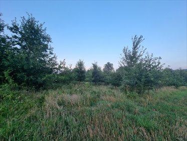 działka na sprzedaż 12600m2 działka Kłodzko, Kłodzko, Stary Wielisław