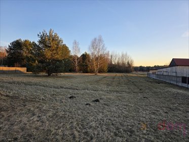 działka na sprzedaż 10900m2 działka Szałas