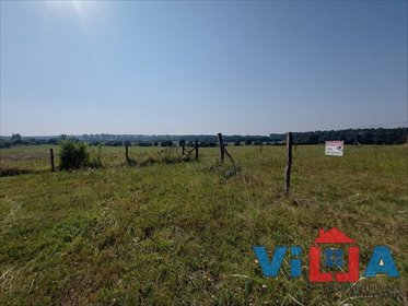 Działka 2546 m² z własną studnią i potencjałem inwestycyjnym zapraszam działka Dąbrowa