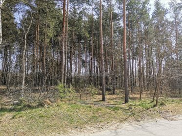 działka na sprzedaż 2581m2 działka Konstancin-Jeziorna, Skolimów, Chopina