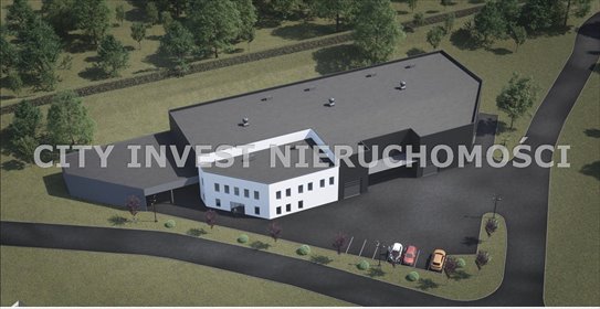 działka na sprzedaż 4500m2 działka Zielona Góra, os. Na Olimpie