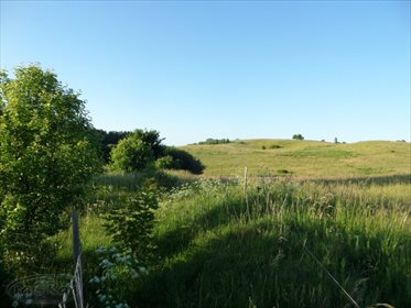 Działka rolna na sprzedaż Stare Kawkowo 3 523m2 Foto 2