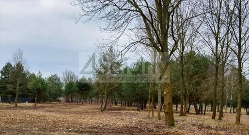 Działka 1000 m² z mediami i MPZP - idealna pod dom. działka Huta Żabiowolska