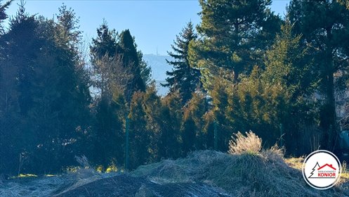 Działka budowlana na sprzedaż Buczkowice 780m2 Foto 3