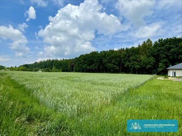 działka na sprzedaż 2200m2 działka Jarosław, Widna Góra