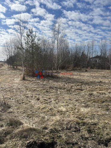 działka na sprzedaż 3982m2 działka Prażmów