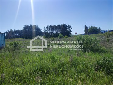 Działka inwestycyjna na sprzedaż Gdańsk, Kokoszki 2 240m2 Foto 4