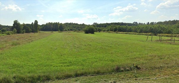 działka na sprzedaż 5000m2 działka Zdżary