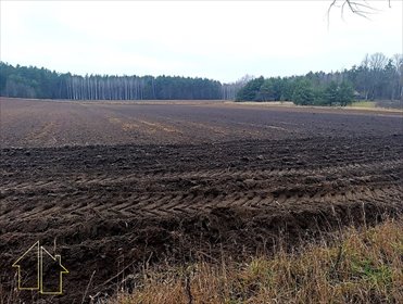 Działka 3694 m² z warunkami zabudowy - polecam! działka Gorędy